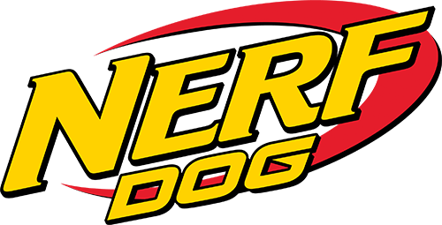 Home - Nerf Logo (500x255)