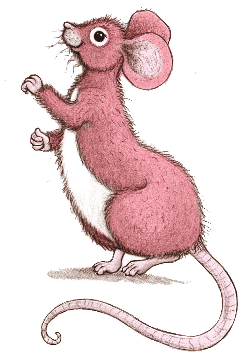 Dancing Rat - Illustration (1131x1653)
