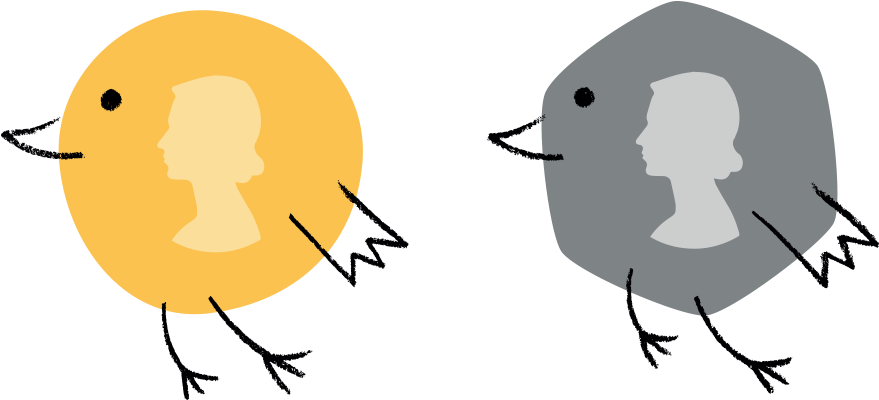 Coin (900x506)