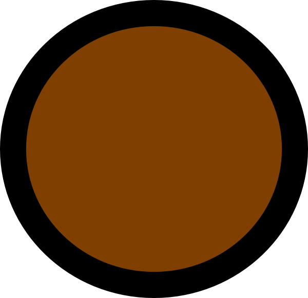 Glossy Orange Circle Icon - Circle (600x580)
