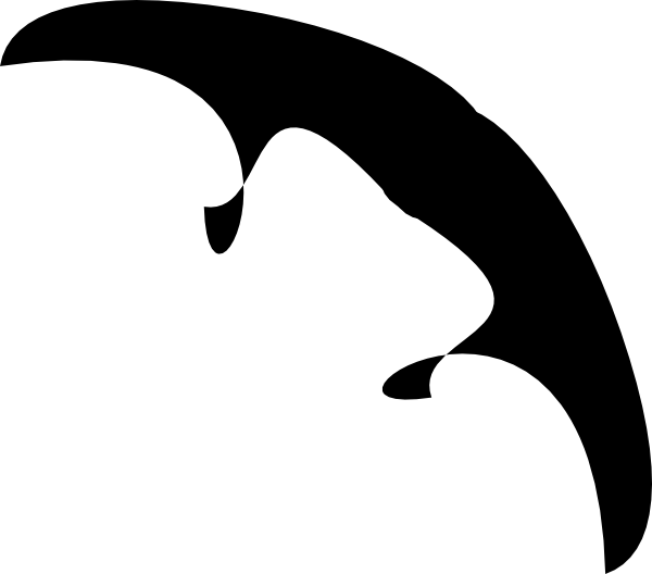 Manta (600x528)