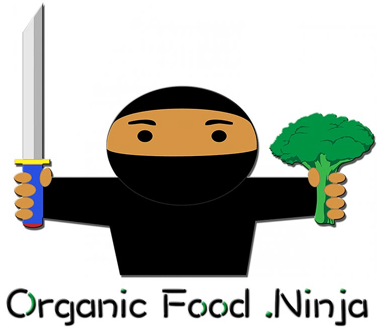 Food Ninja (1080x810)