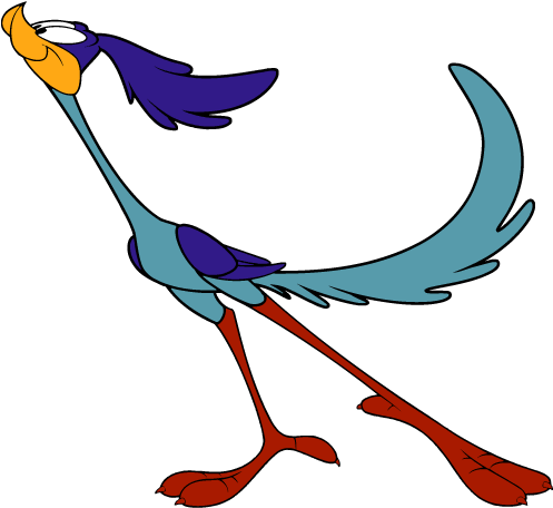 Roadrunner Clipart - Does The Roadrunner Live (510x500)