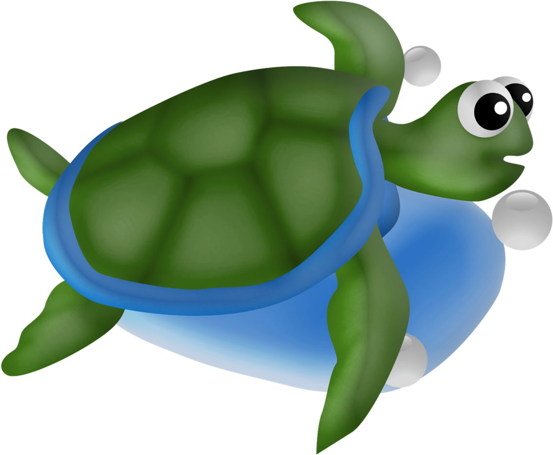 Shells, Mars, Turtles, Conch Shells, March, Sea Shells, - Green Sea Turtle (1280x1067)