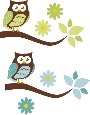 Establishing Class Rules As A Group - Owl (371x471)