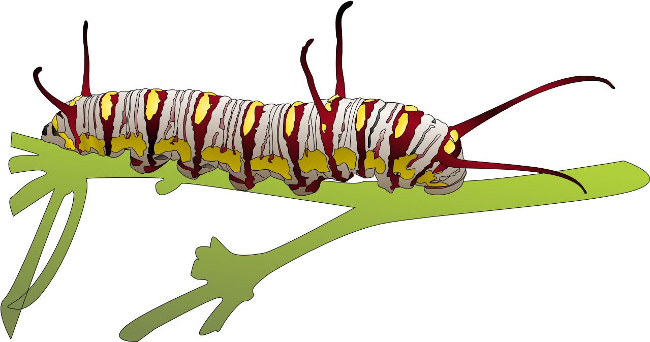 Caterpillar Clipart Transparent Background - Portable Network Graphics (1279x673)