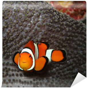 Stock Photography (400x400)