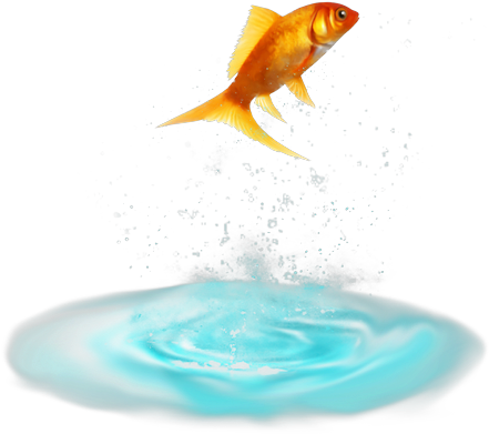 Red Fish - Vissen Png (484x600)
