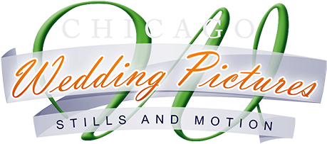 Chicago Wedding Pictures - Wedding (500x500)