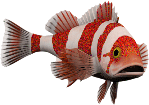 Fish Glitter Gifs - Рыба Гиф (480x340)