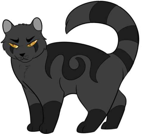 Black Cat (500x500)