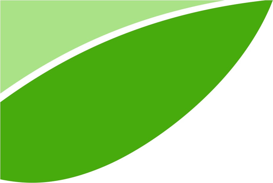 Leaf - Leaf (1300x620)