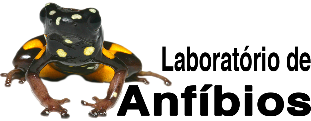 Amphibians (1029x410)