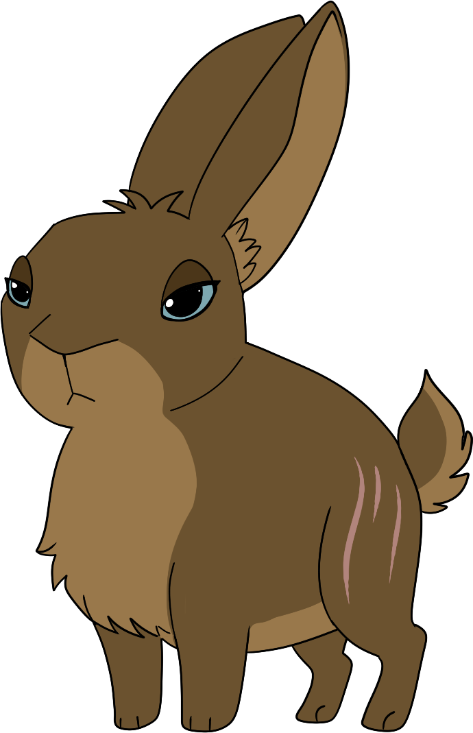 Weird Rabbit - Domestic Rabbit (690x1069)