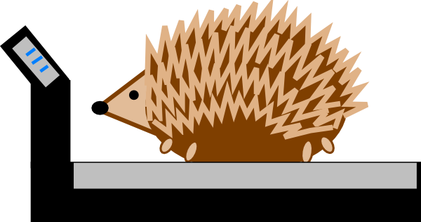 Hedgehog On A Treadmill (600x316)
