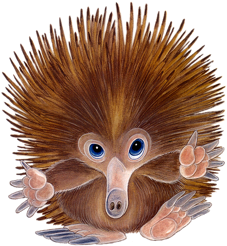 Hedgehogsgraphics Hedgehogs Graphics - Gifs (462x504)
