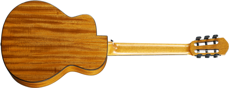 Indian Musical Instruments (988x478)