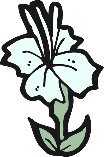 Hibiscus Flower - Cartoon (366x550)