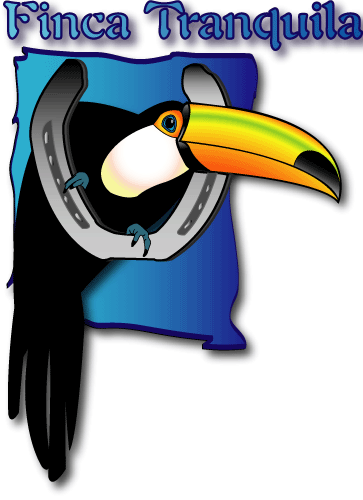   Toucan Clip Art (363x500)
