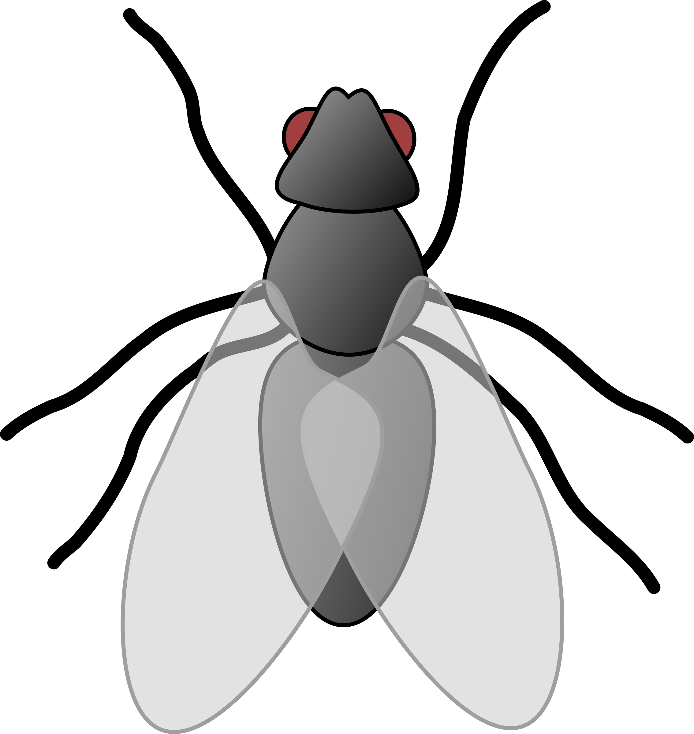 Big Image - Fly Clipart (2268x2400)