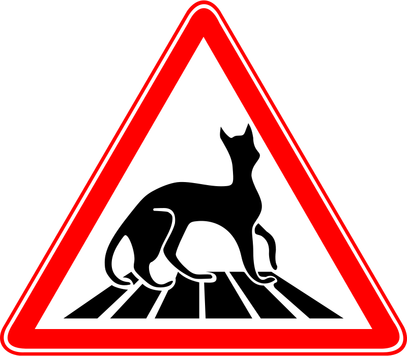 Free Carefully - Cat Pedestrian (800x700)
