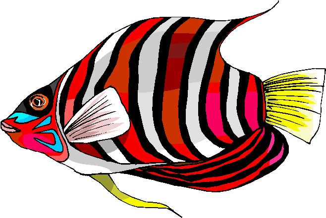 Obrigada Pela Visita - Vector Graphics (658x459)