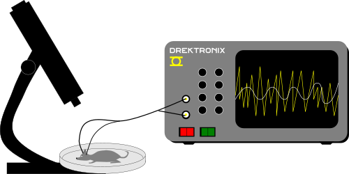 Image - Oscilloscope Clip Art (500x250)