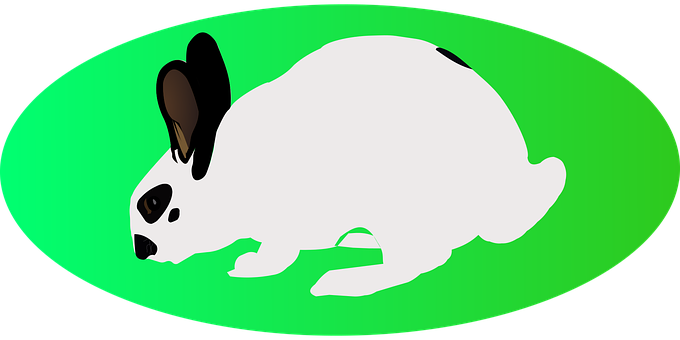 Easter, White Rabbit, Green Ellipse - Easter (680x340)