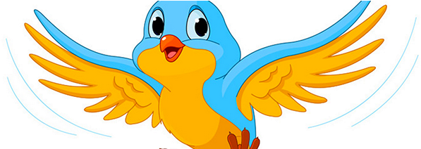 Common Features Used - Bird Vector (720x211)