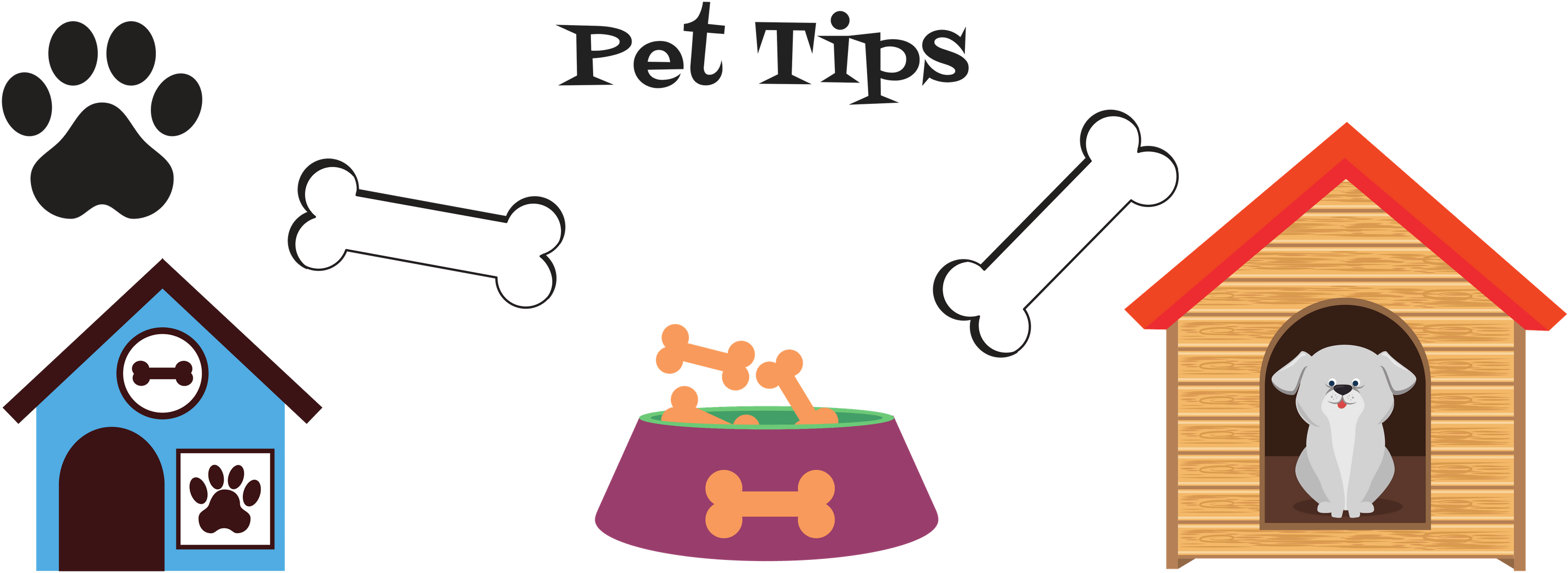 Pet Tips Banner - Pet (3000x1055)
