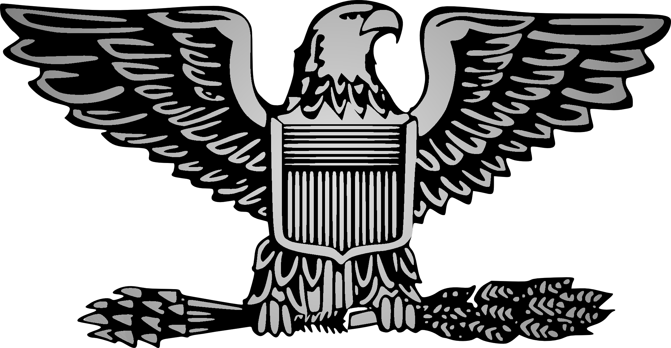 Air Force Colonel Insignia (2166x1123)