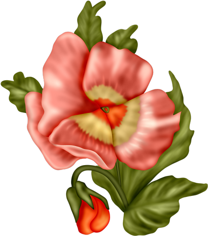 Flowers - Flower (440x500)