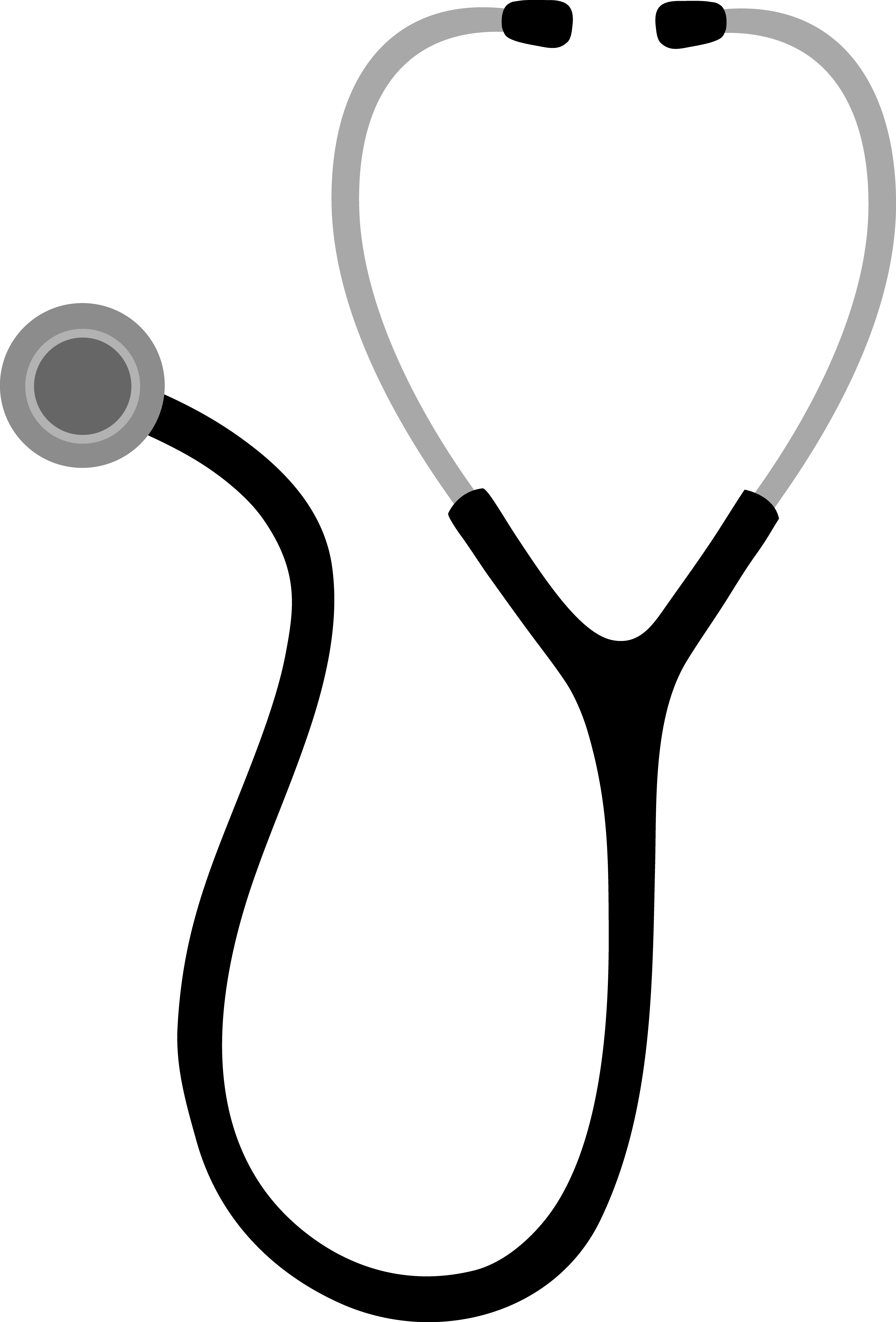 34 - Transparent Background Stethoscope Clipart (4251x6271)