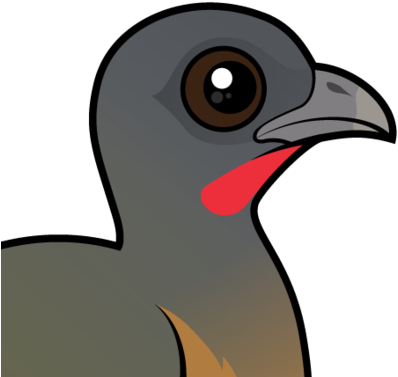 Plain Chachalaca - Cartoon (440x440)
