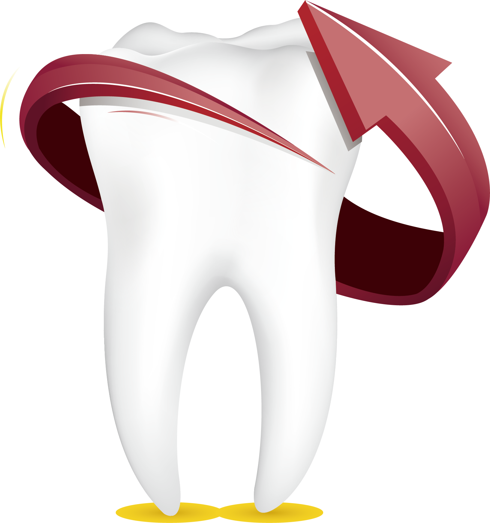 Tooth Euclidean Vector Cartoon - Portable Network Graphics (1633x1741)