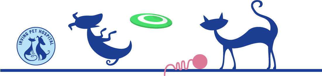 About Us - Circle (1100x262)