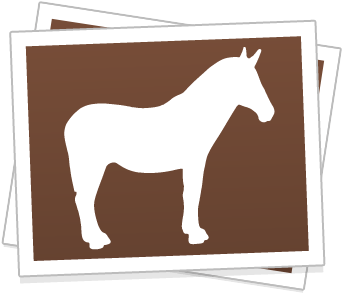 Mane (400x340)