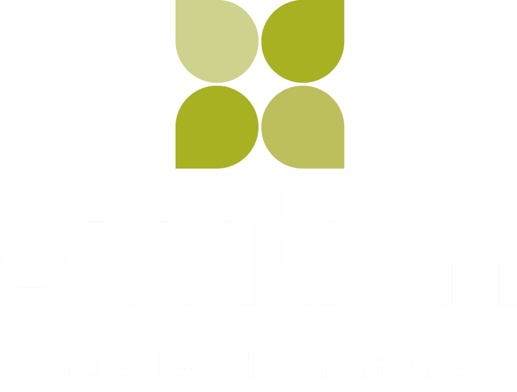 Purition - Circle (1024x777)
