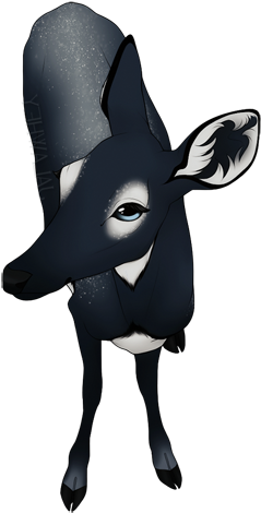 Possessions - » - Burro (250x484)