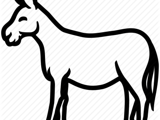 Jackass Clipart Ane - Clip Art (640x480)