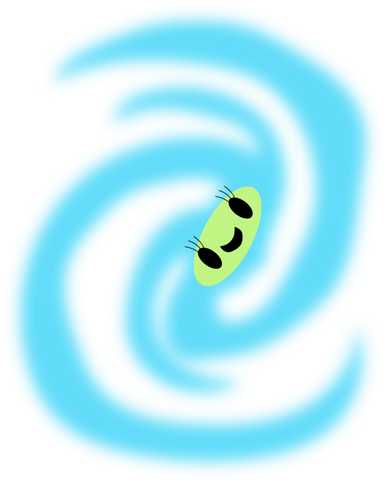 Circle (804x998)