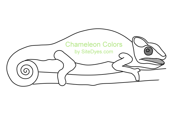 Crocodile (600x400)