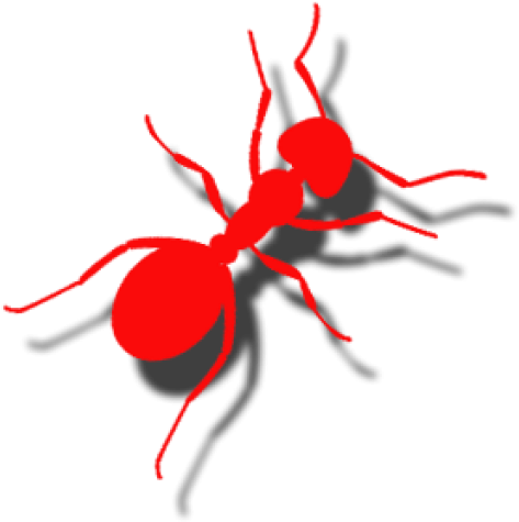 Ant (512x512)
