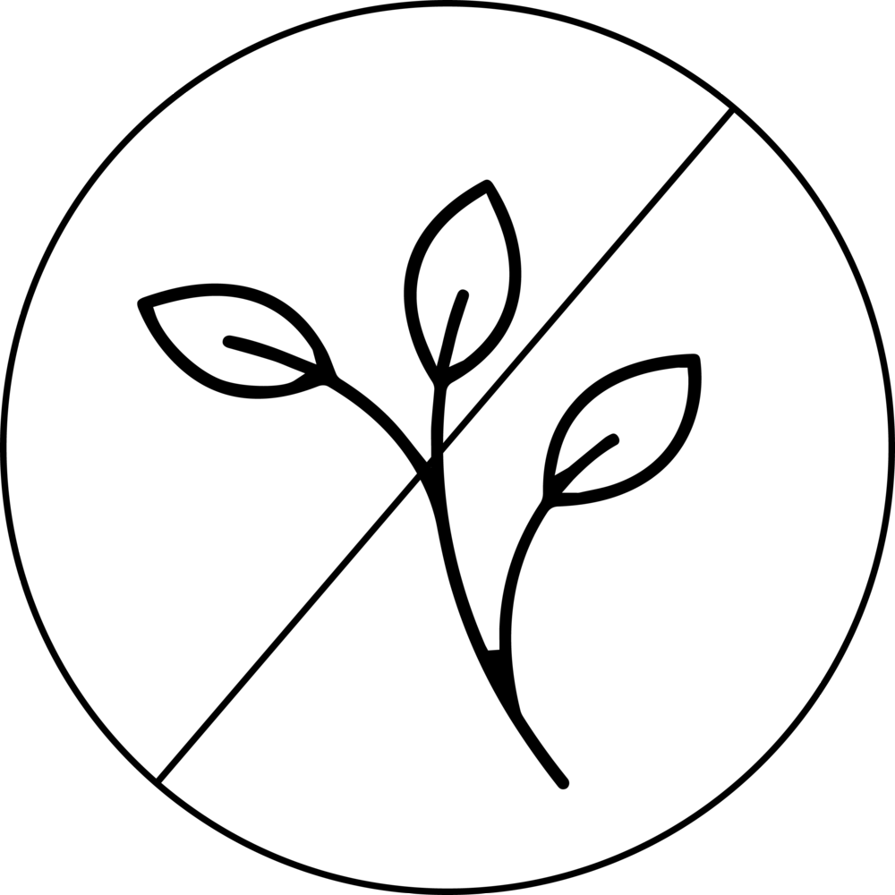Honey - Portable Network Graphics (1000x1000)