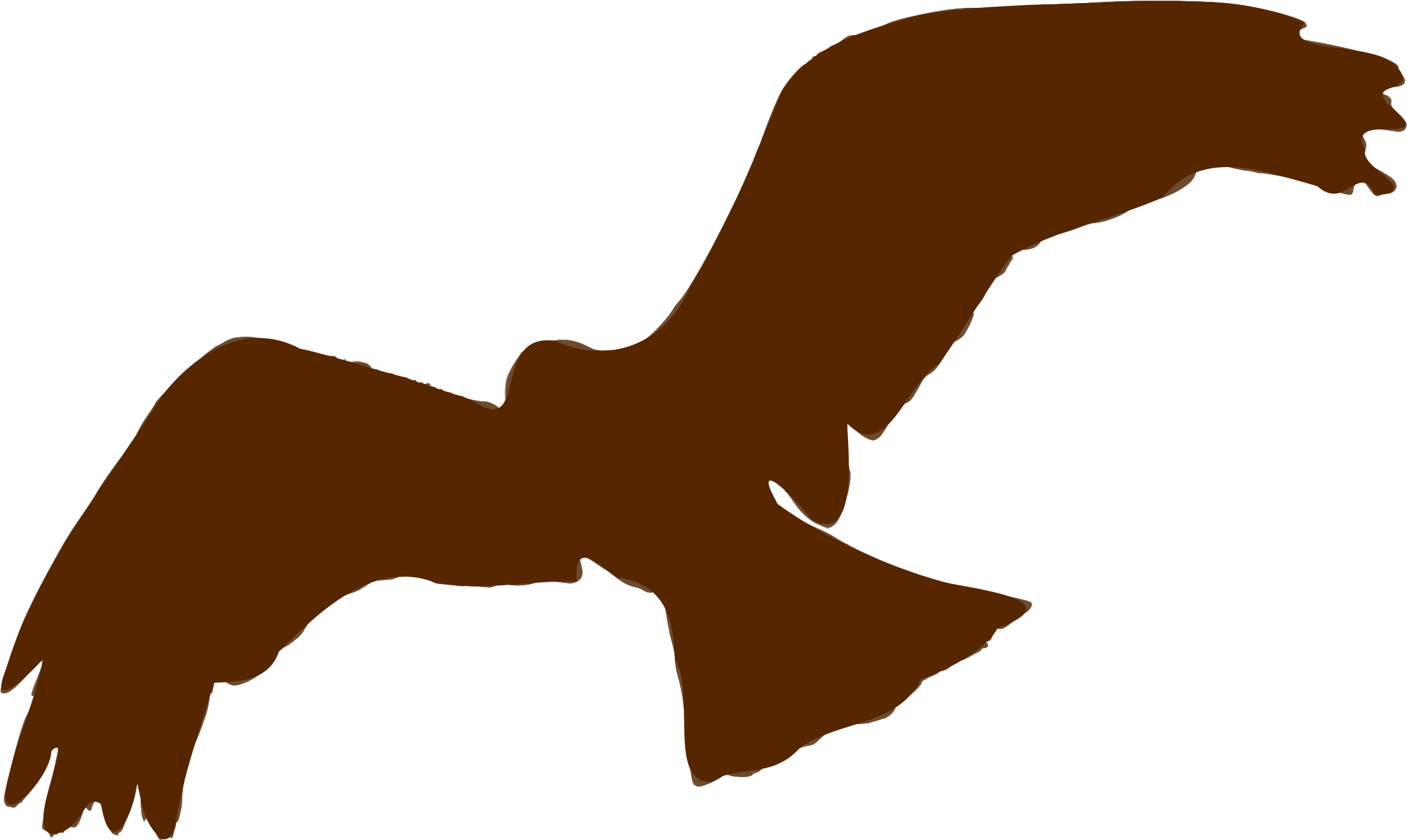 Animaux 06 - Animaux 06 (2400x1461)