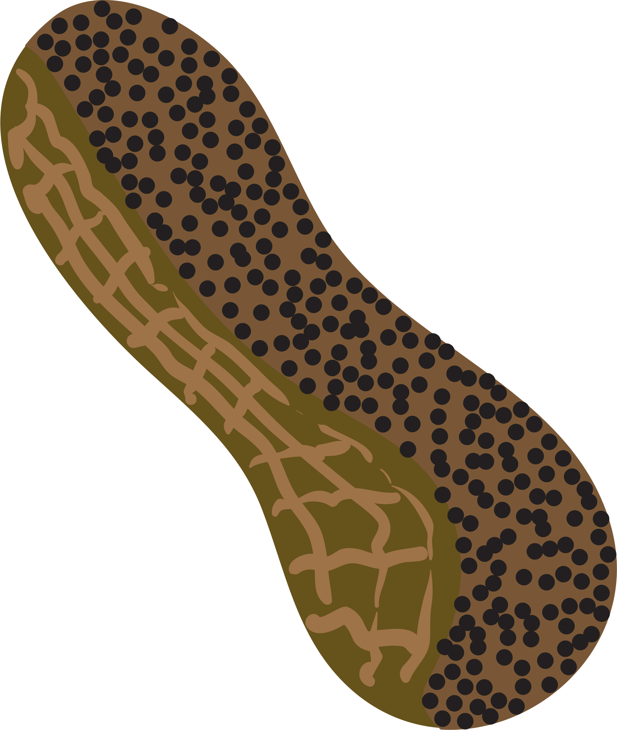 Big Image - Peanut (1999x2366)
