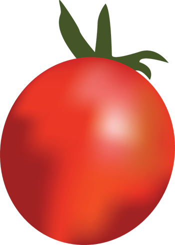 Tiny Tim - Snow Plum (350x490)