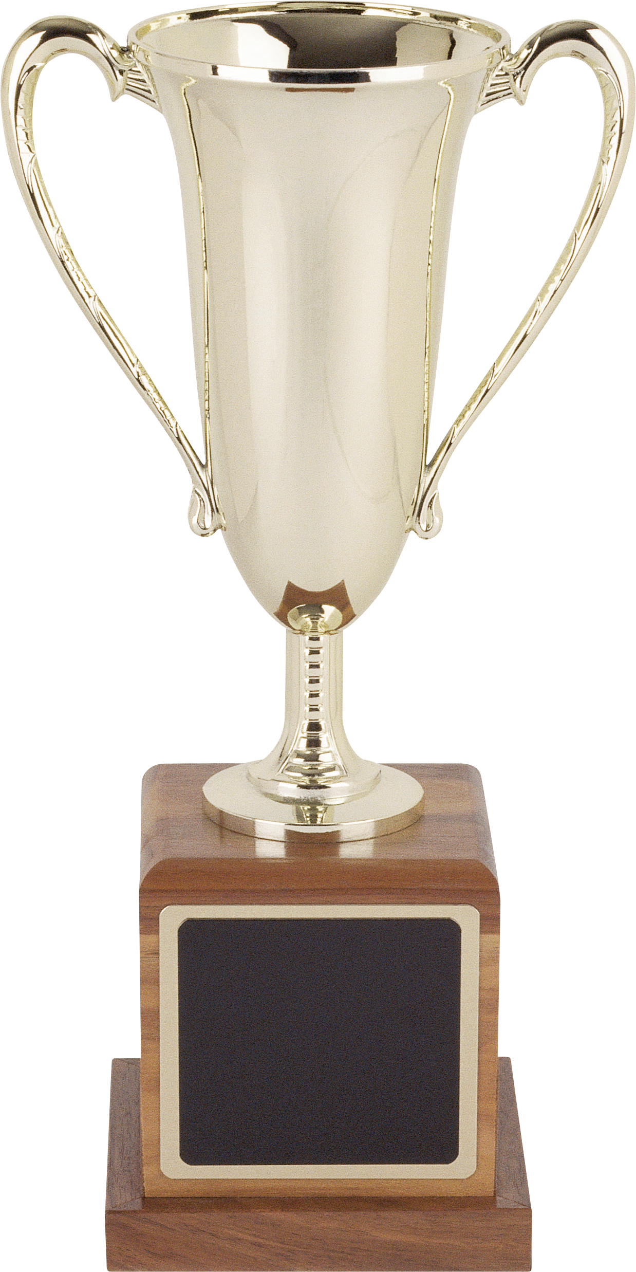Картинка В Png - Trophy (1238x2475)