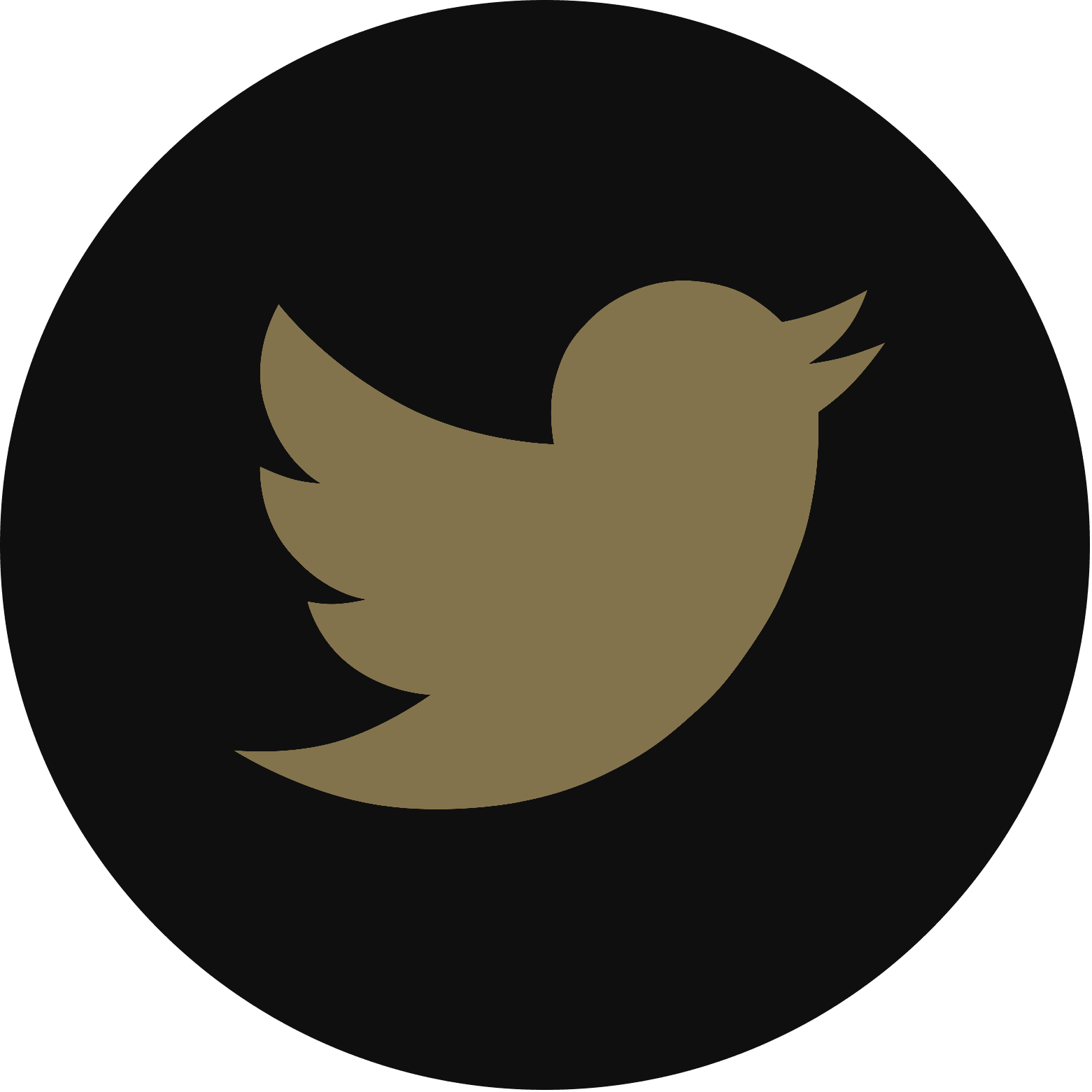 Twitter Icon - Anti Facebook (1561x1561)