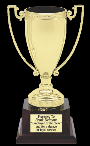 Trophy (310x500)